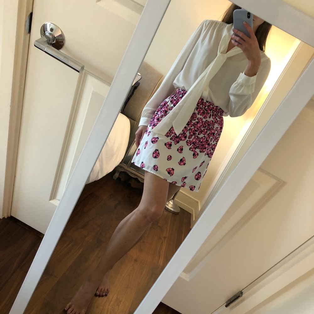 Ladybug Skirt
